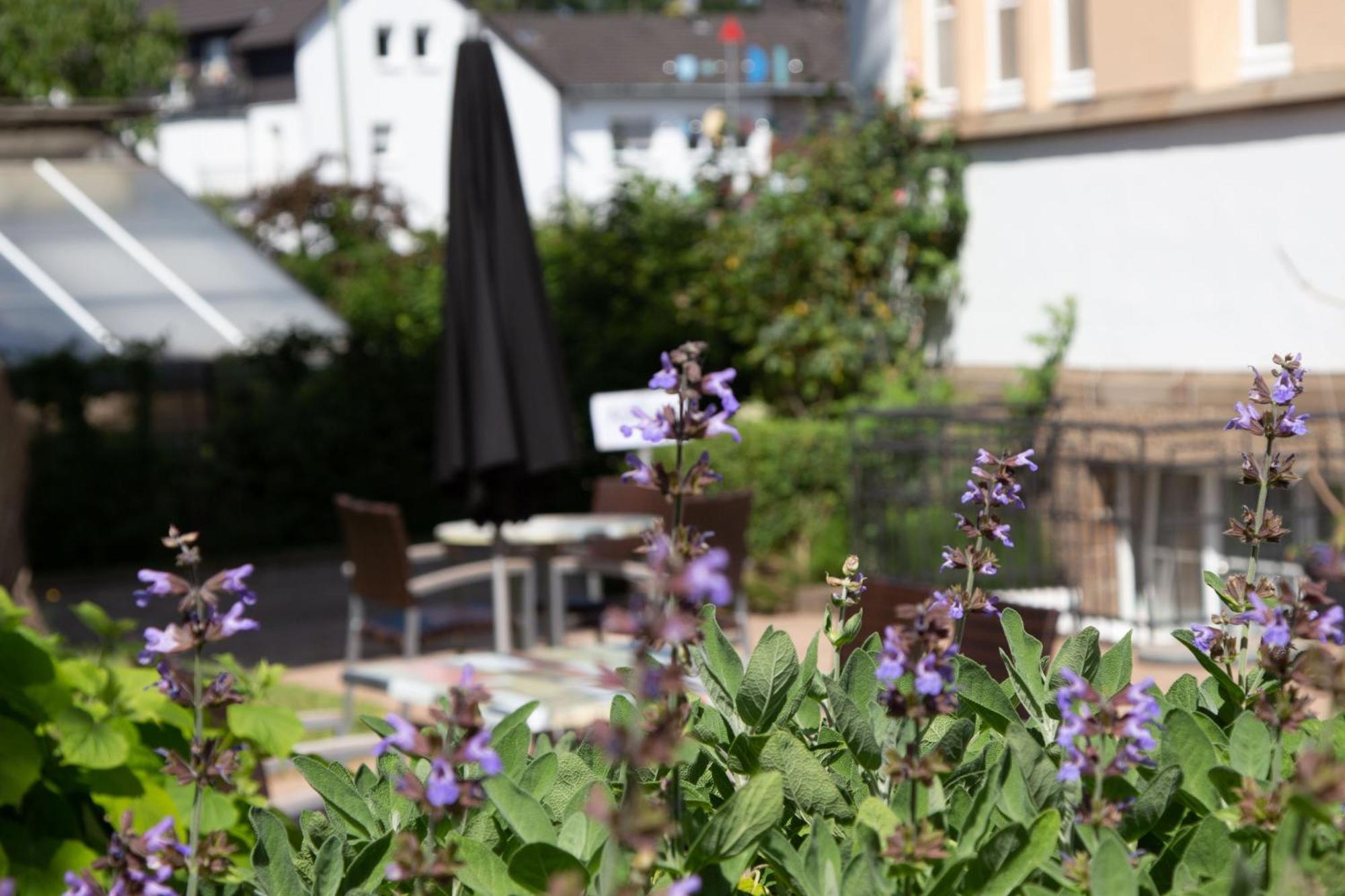 2T Hotel Artgenossen Lindlar Exterior photo
